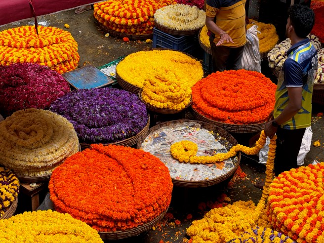 Bangalore/Hampi/Mysore, August 2024